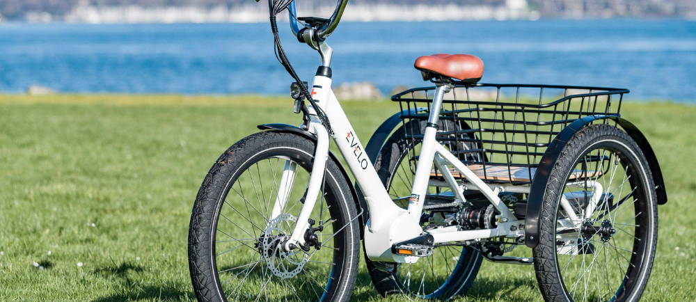 Evelo electric tricycle on grass