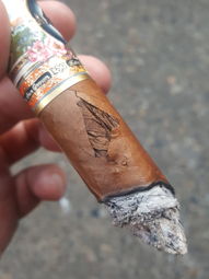 Cigar Session Photo