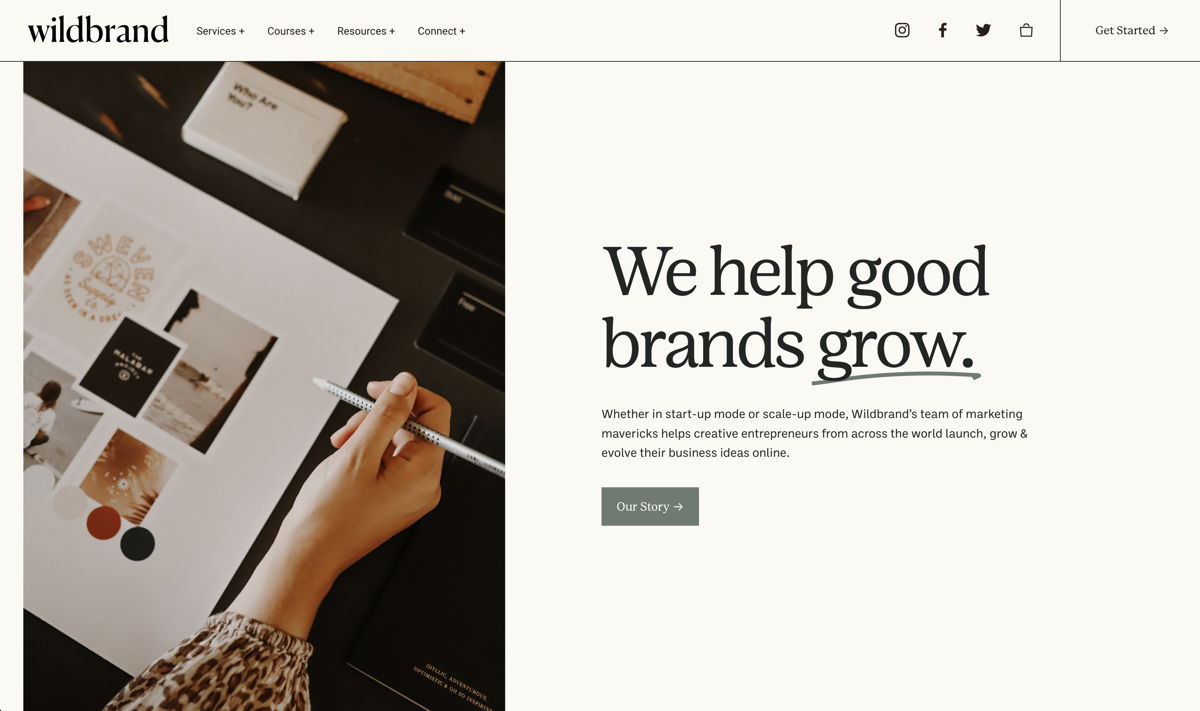Screenshot of Wildbrand, from the ecommerce websites collection.