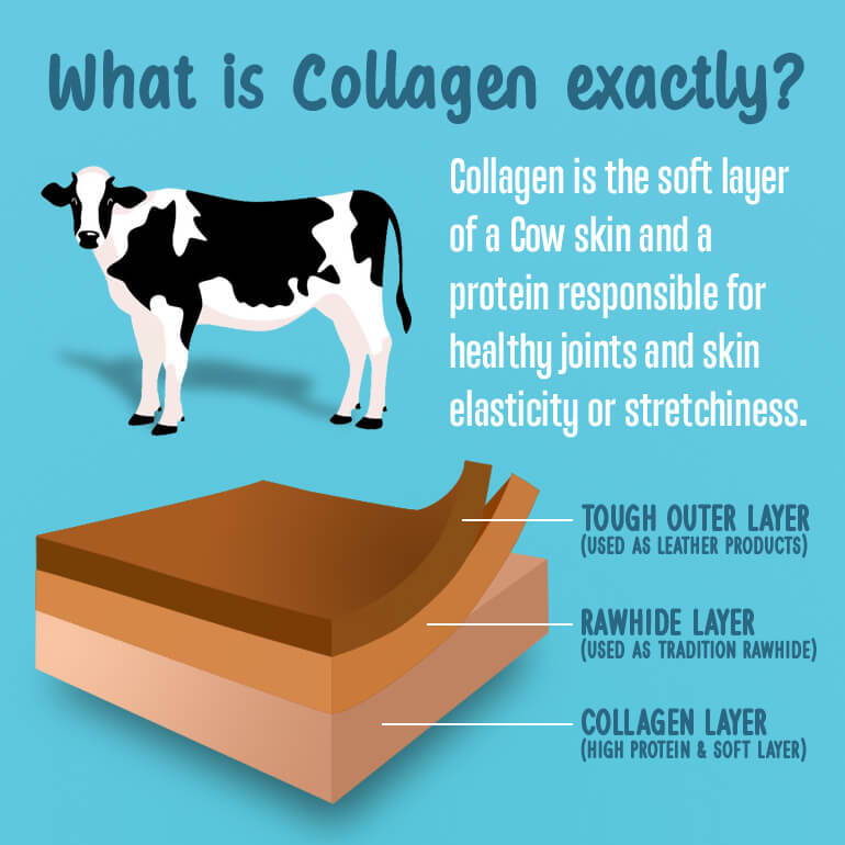 Pet Expertise™ Collagen Chew