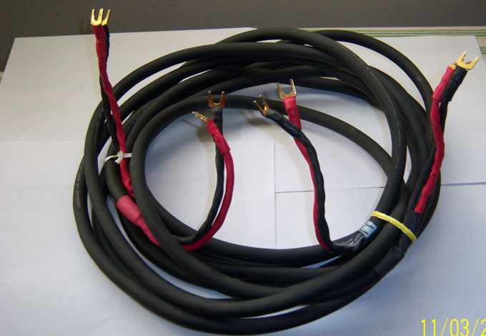 Audioquest Slate  Speaker Cables terminated by Audioadv...