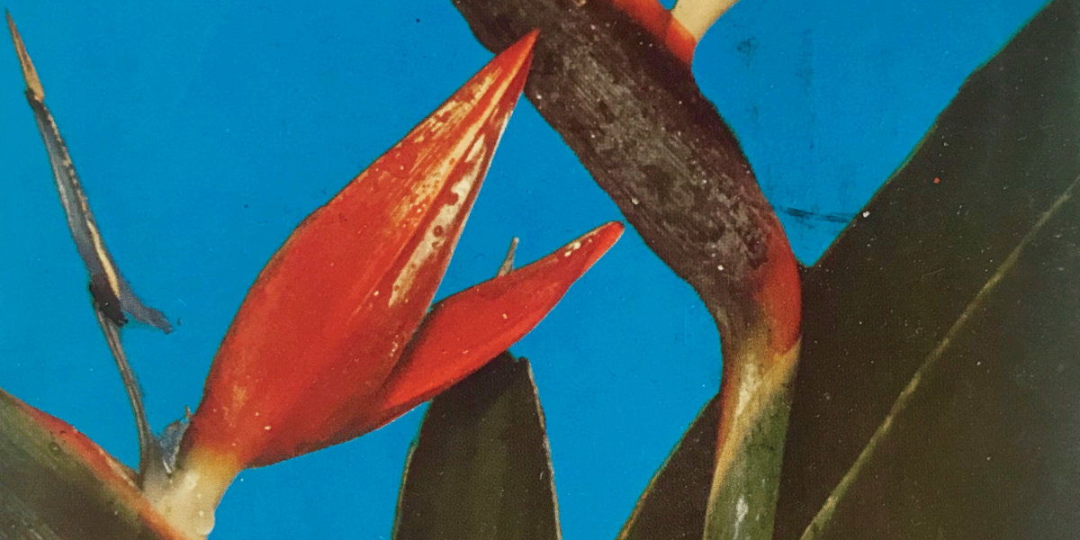 list image