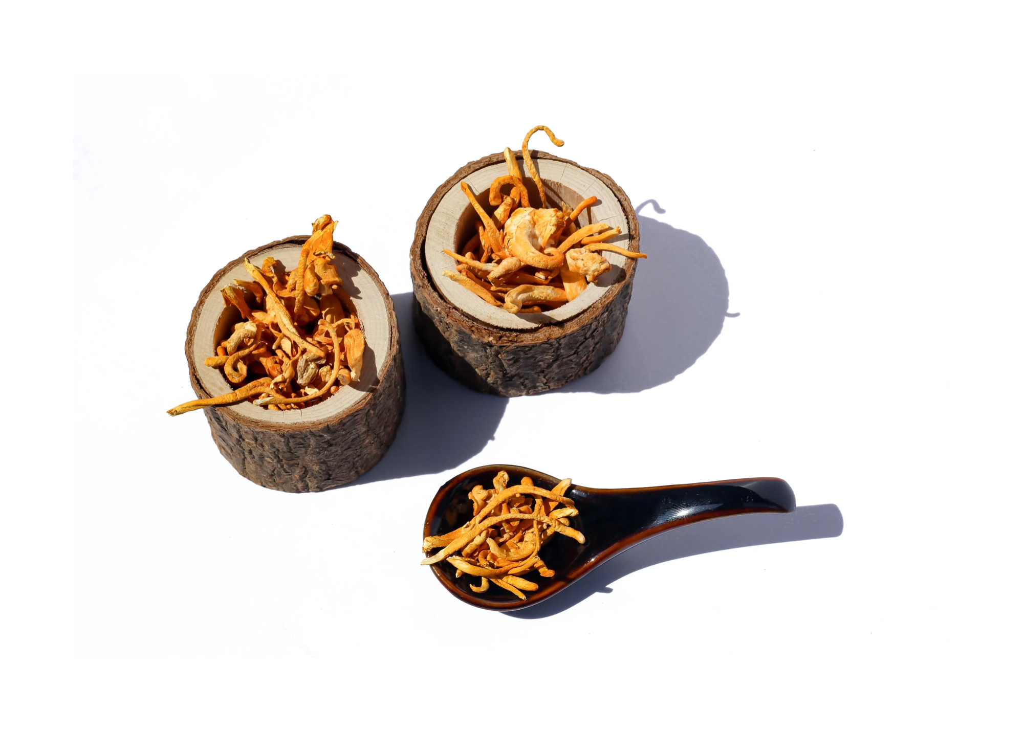 cordyceps benefits