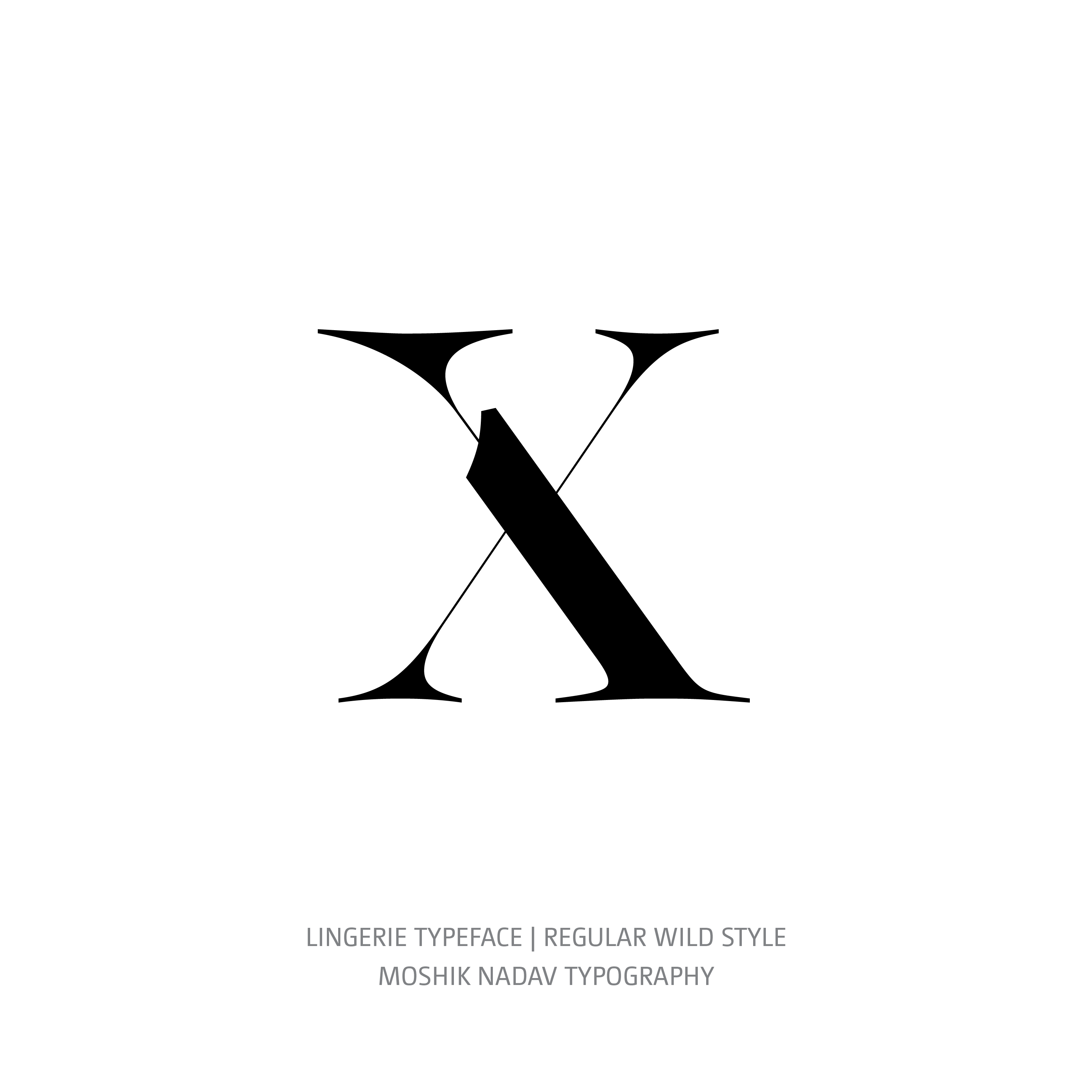 Lingerie Typeface Regular Wild x