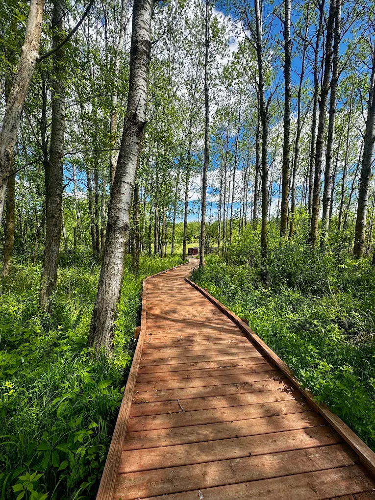 Token Creek County Park