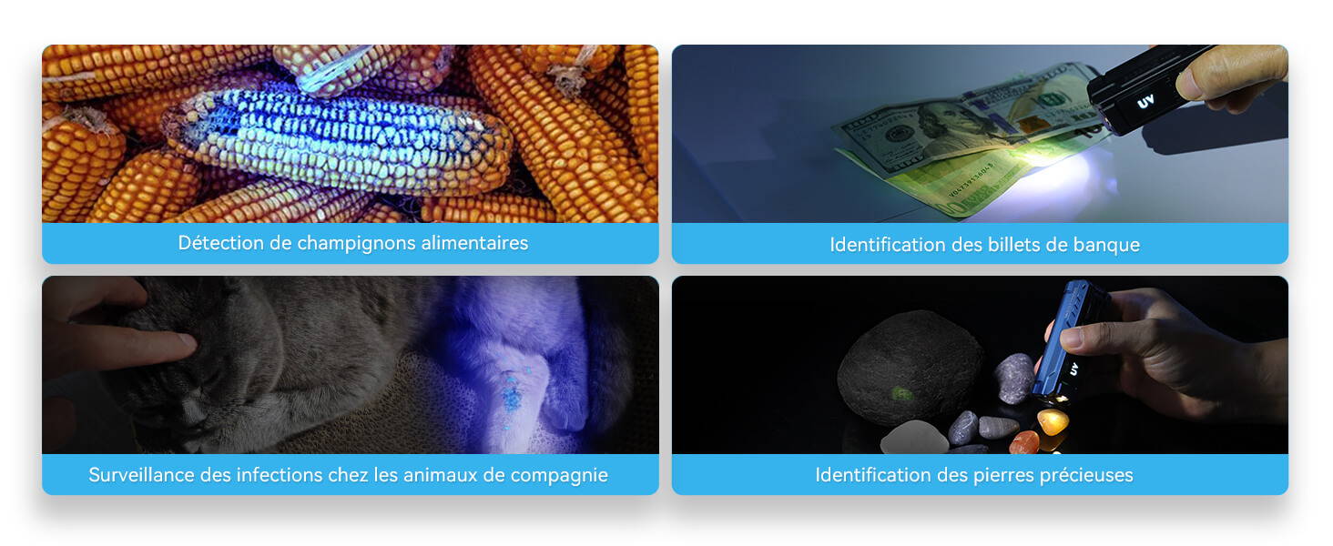 Sources de lumière doubles Lampe torche UV IMALENT BL50