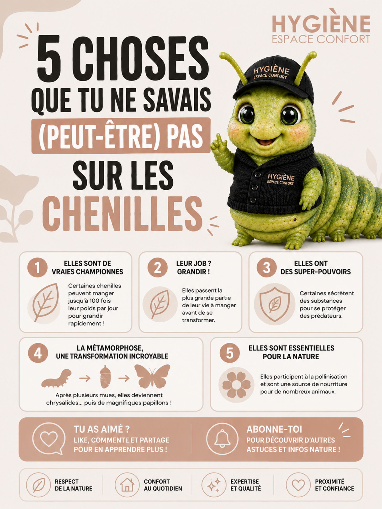 5 choses que tu ne savais peut-être pas sur les chenilles