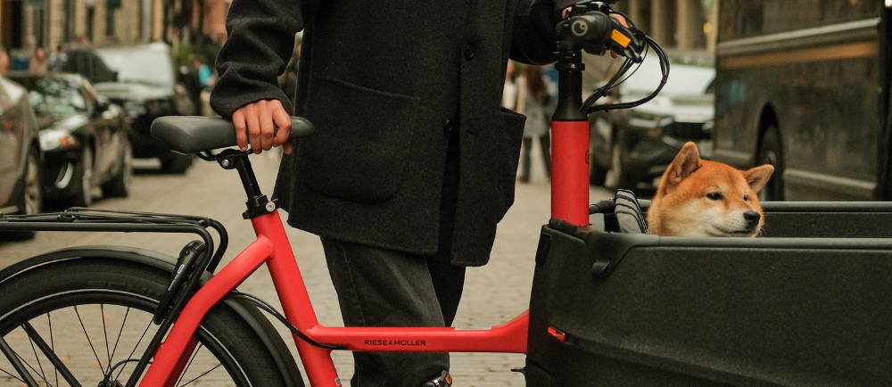 Riese & Müller electric cargo bike red with dog