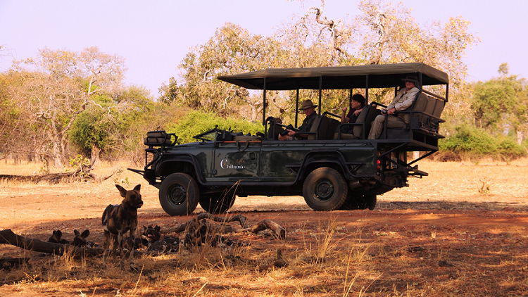 5 Day South Luangwa Luxury Safari Experience