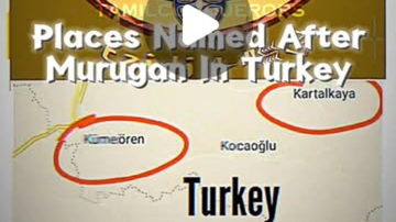 Main Content Image
