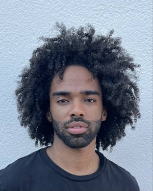 Wilson Gomes