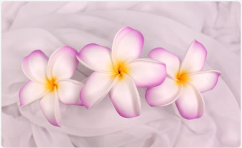 Lavender Sunset Frangipani Real Touch (6 Pack) - Realistic Artificial Flowers