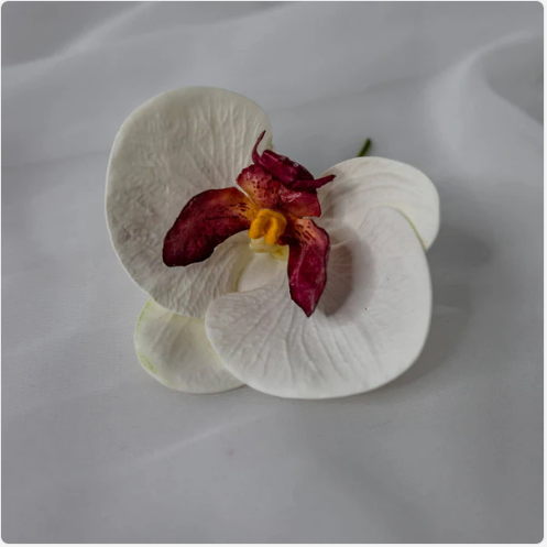 White and Dark Pink Phalaenopsis Flowerhead (6 Pack) - Realistic Artificial Flowers - Image 3