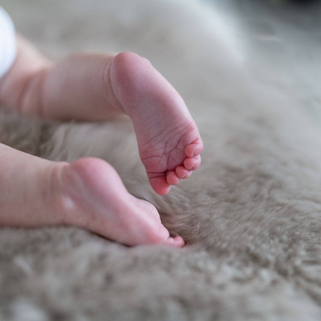 tiny baby feet on a shorn sheepskin
