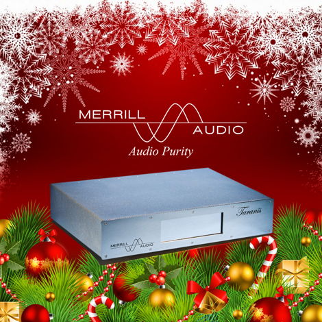 Merrill Audio Taranis Stereo Power amplifier. Merry Chr...