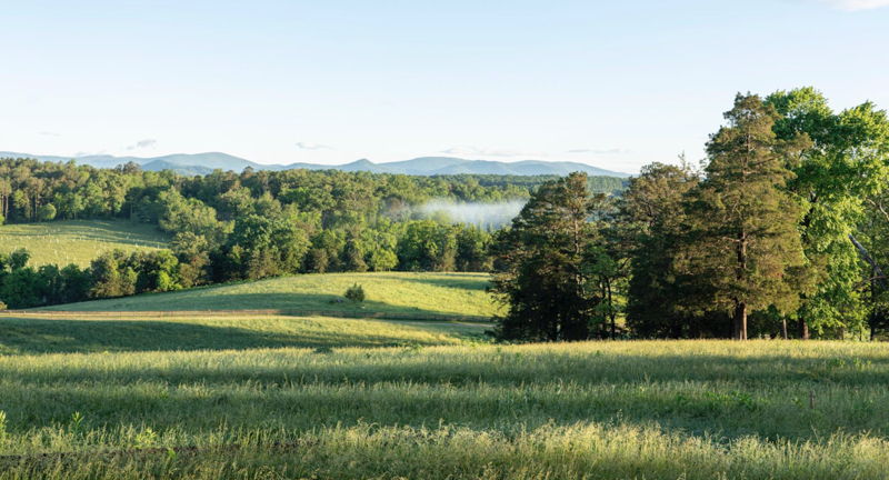 Guided Farm & Vineyard Walk - Earth Month Walk