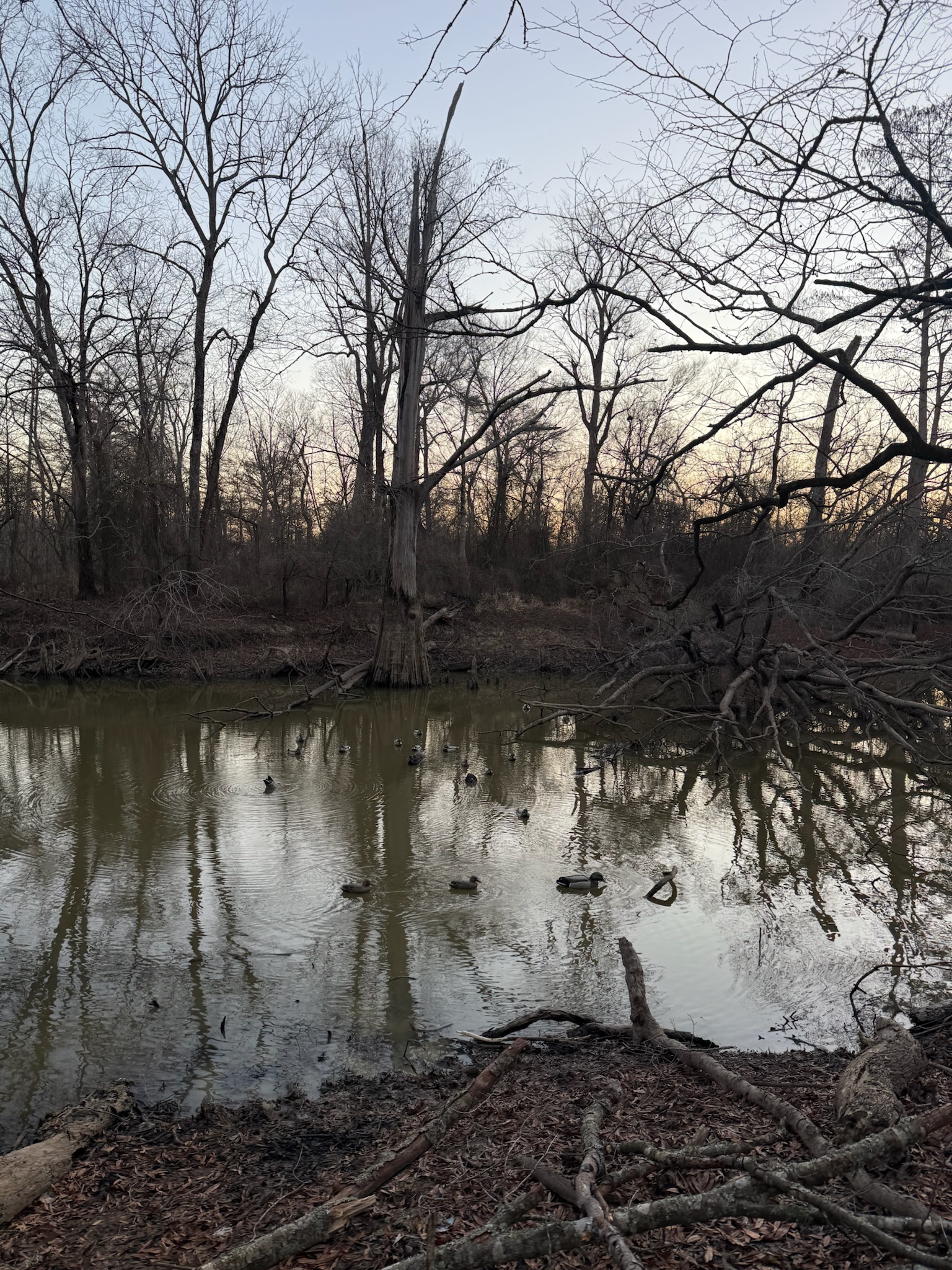 Hunters spending time outdoors