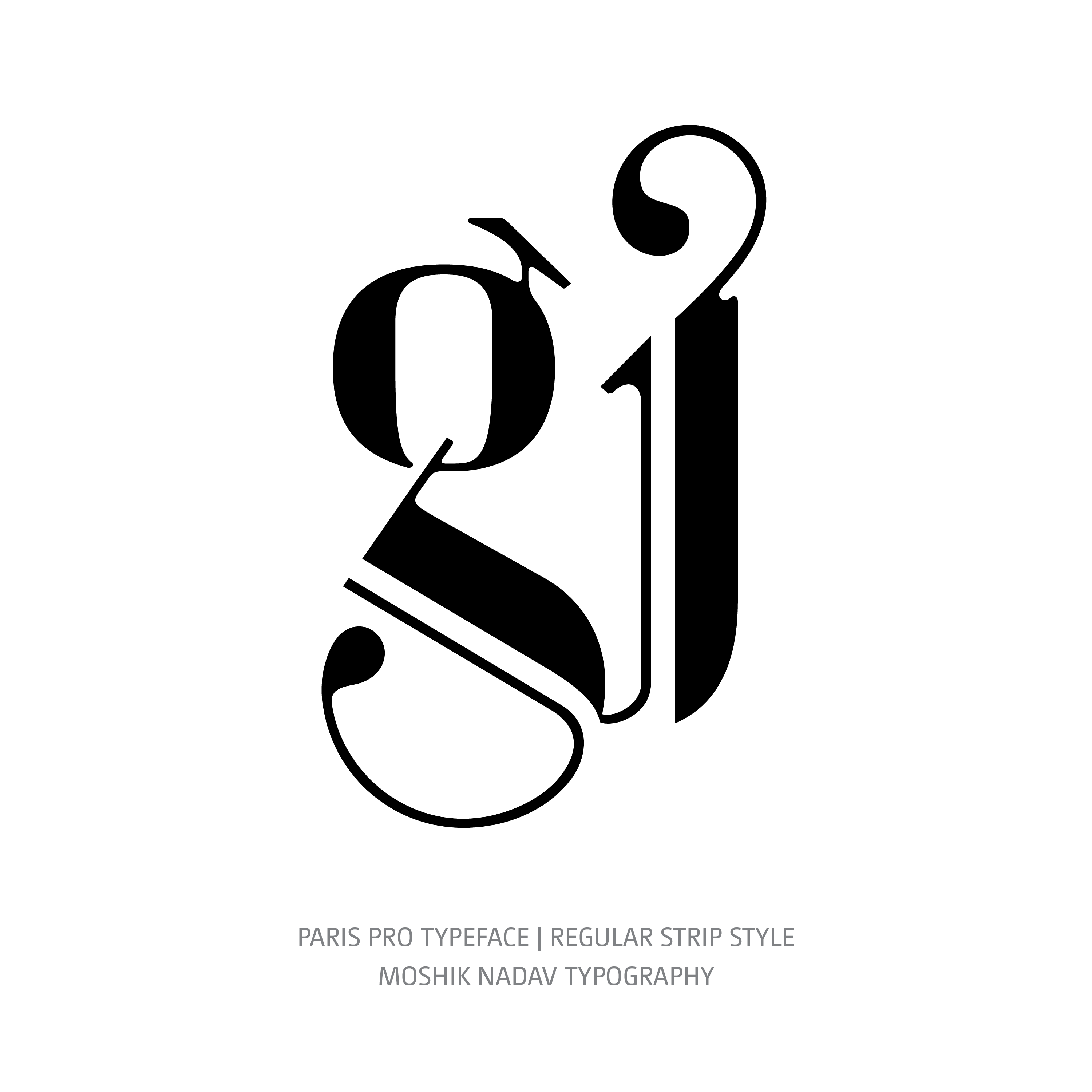 Paris Pro Typeface Regular Strip gj ligature