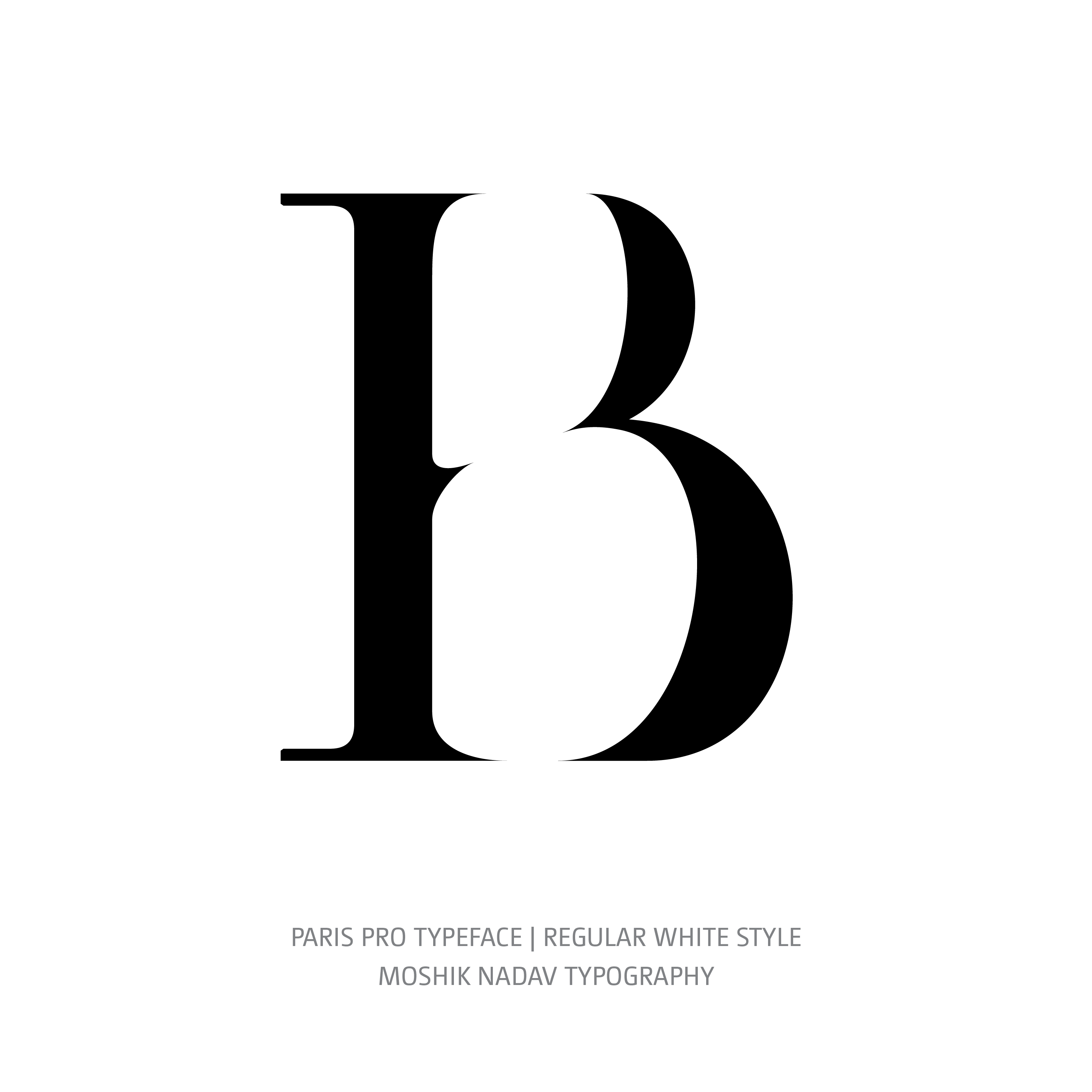 Paris Pro Typeface Regular White B
