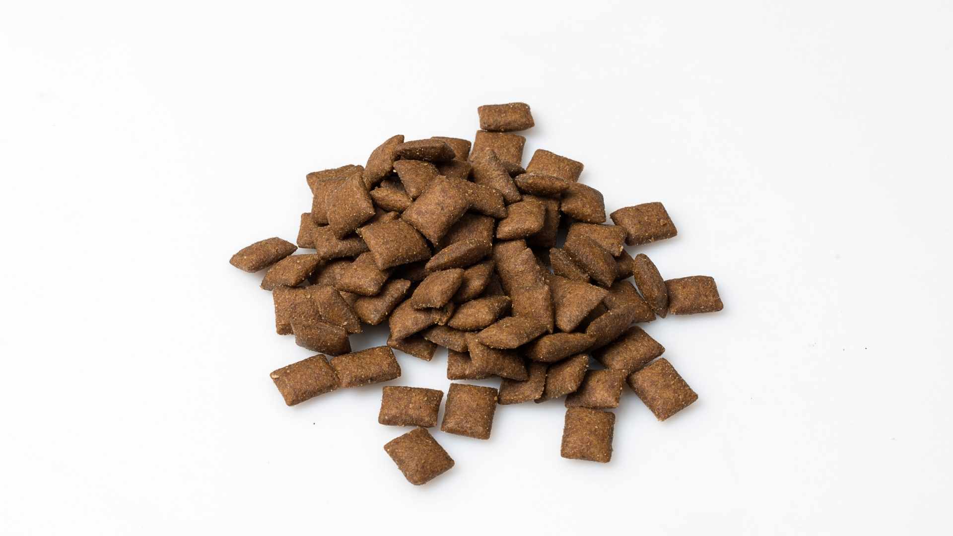 Diät-Futter versus Snacks bei Durchfall