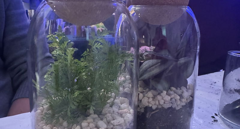 May Terrarium Class at Roots KC River Market
