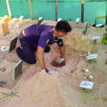 Turtle Foundation building homes for the turtle eggs to hatch from
