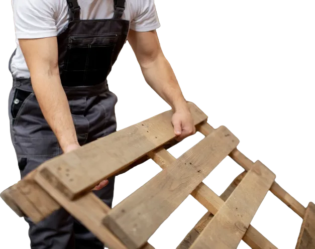 Elena Pallets