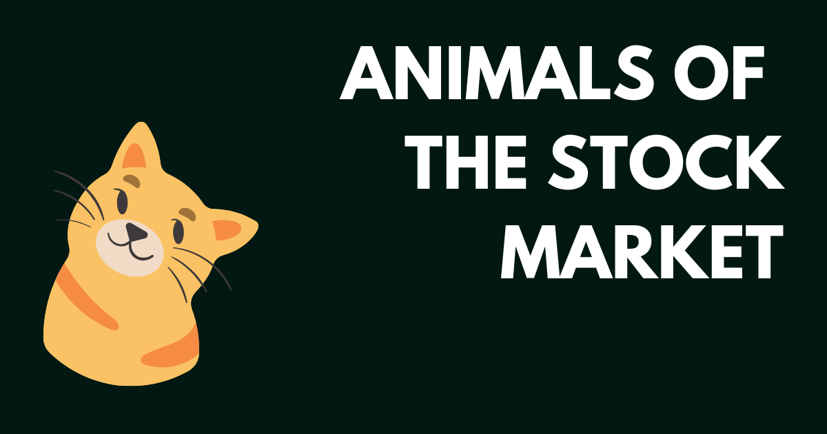 the-main-animal-expressions-used-in-the-stock-market