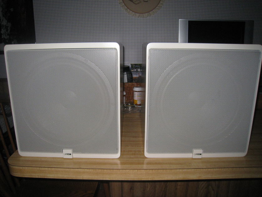Canton PLUS C pair of Plus C passive subs with 12 inch woofers