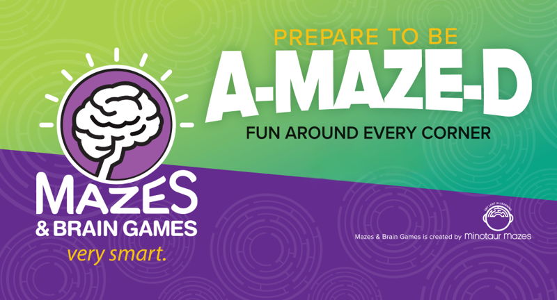 Mazes & Brain Games