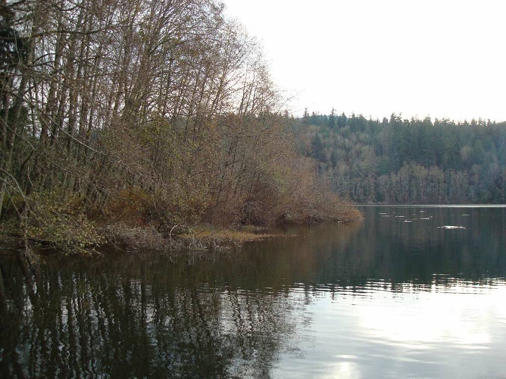 Lake Padden from the trail.