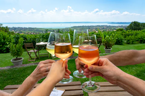 Lake Balaton Day Trip