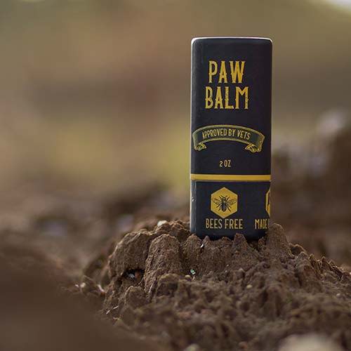 saker paw balm in a tulip