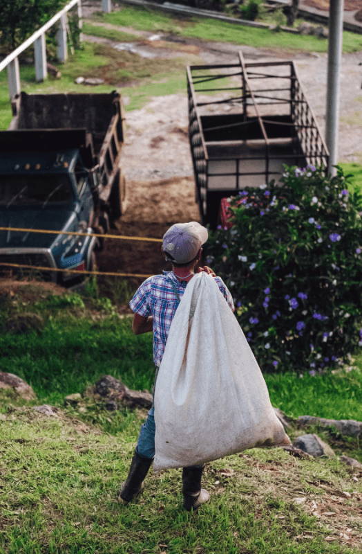 A boy holding a sack of coffee.