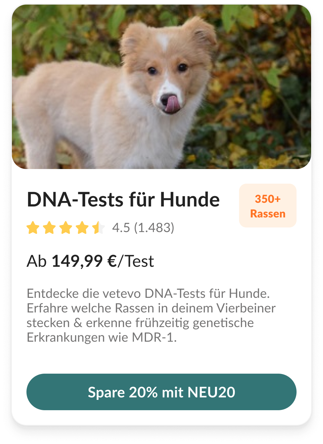 DNA-Test für Hunde