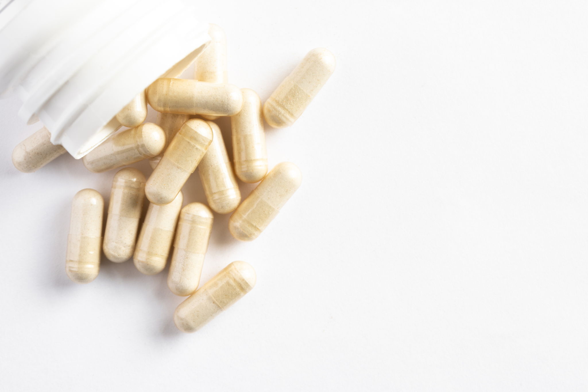 How Long Does it Take for Probiotics to Work? -
