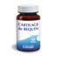 Cartilage de Requin