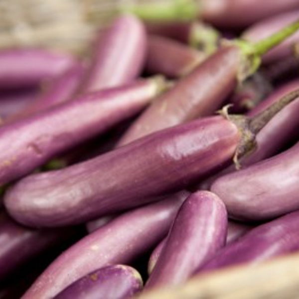 Aubergine perline (400 gr)