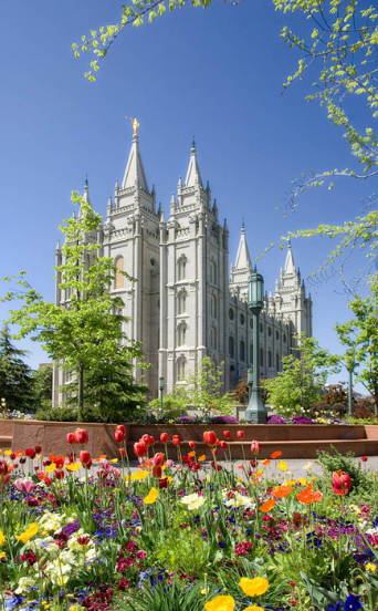Angled photo of the Salt Lake Temple and colorful flowerbeds on a clear day. 