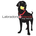 Labradors and Friends Dog Rescue Logo