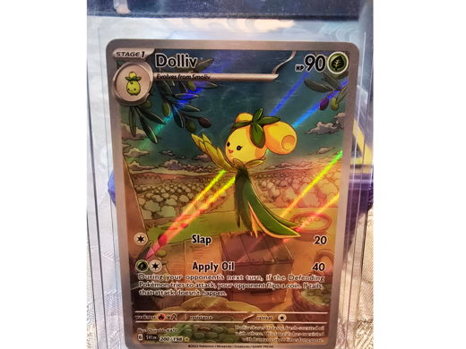 Collectable Kingdom