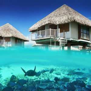 Honeymoon Fund