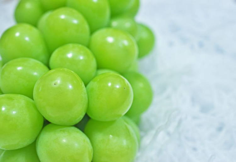 シャインマスカットの保存方法