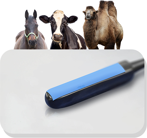 Portable Veterinary Ultrasound