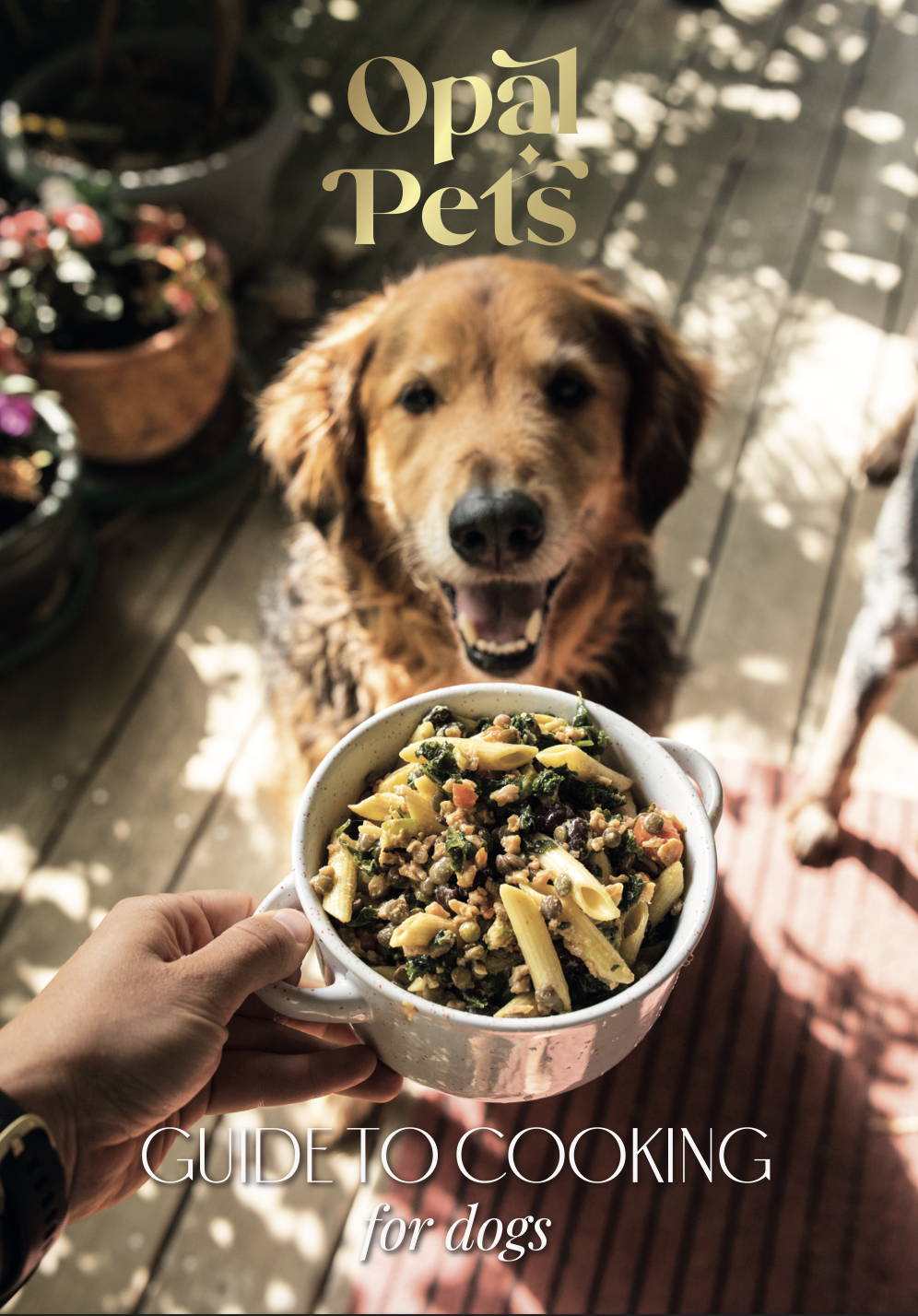 Opal pets fresh food dog recipe in a bowl with carrots, quinoa and tofu