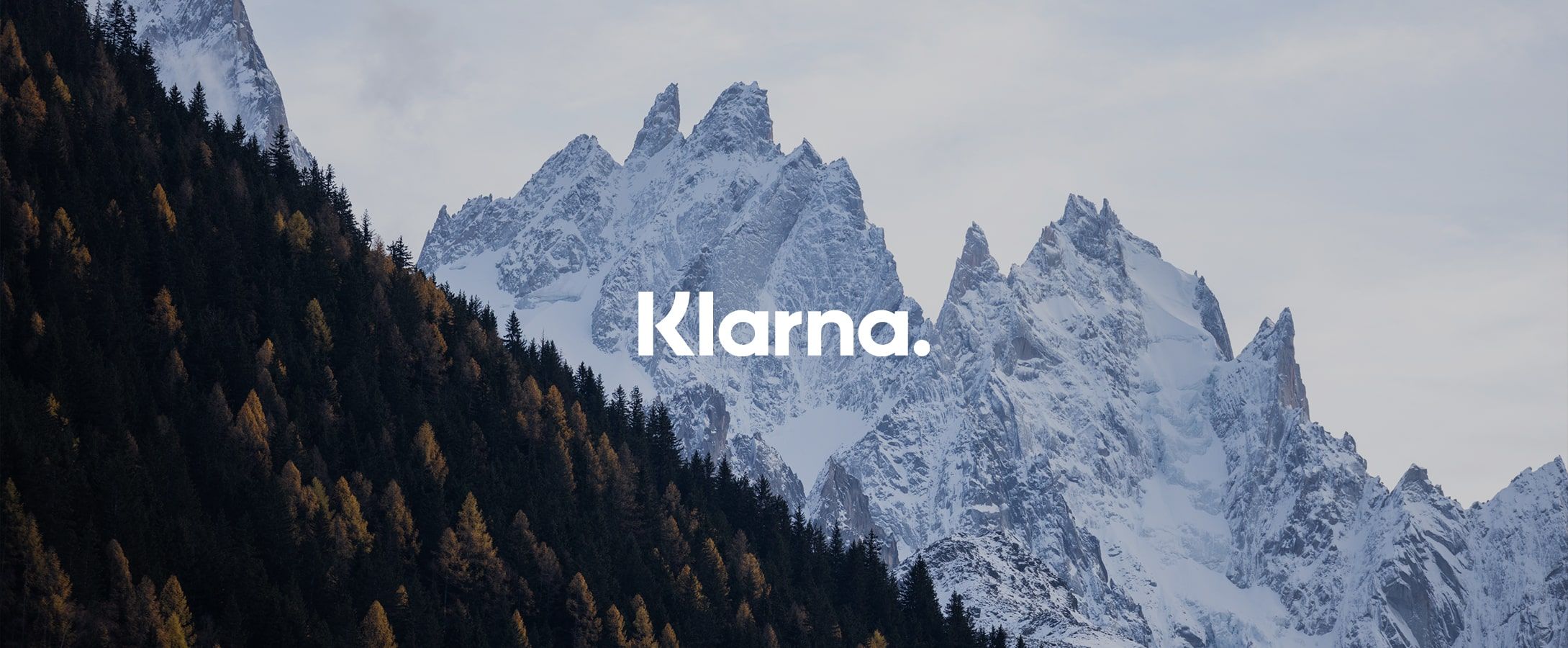 Klarna — Buy Now, Pay Later