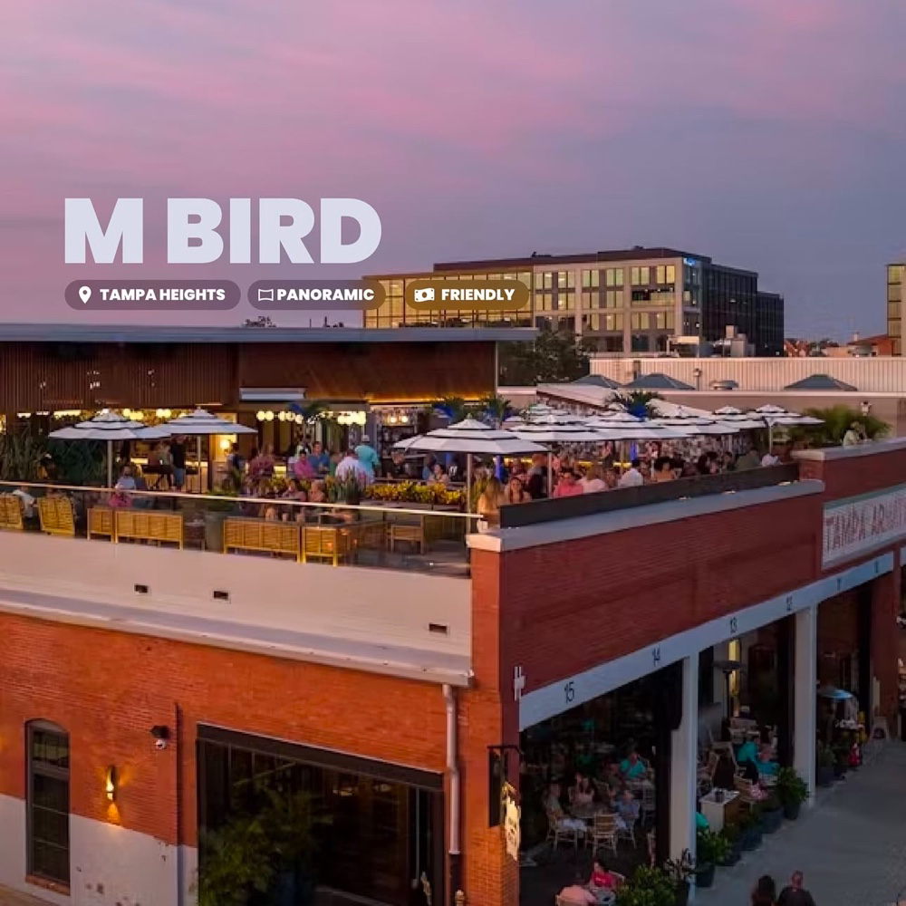 Main Content Image