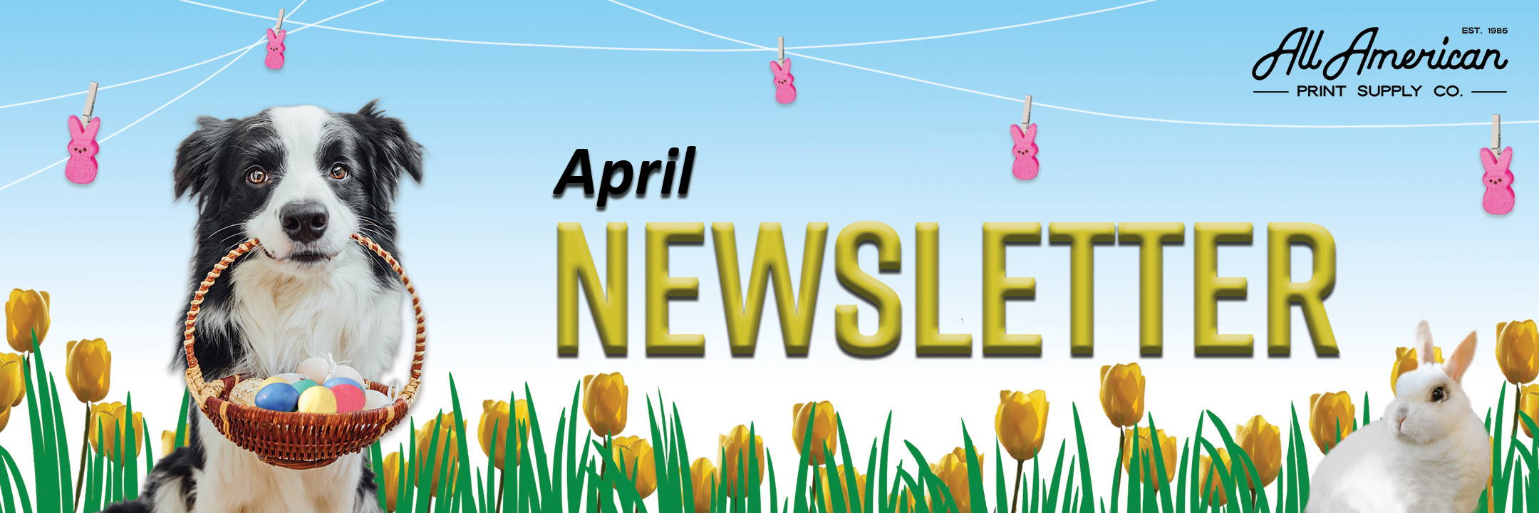 All American Print Supply Co April Newsletter 2023