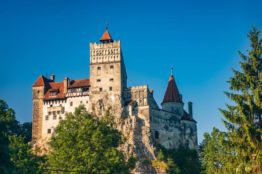 Transylvania with Dracula Castle, Bear Sanctuary and Brasov - photo 5