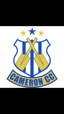 Cameron Cricket Club logo
